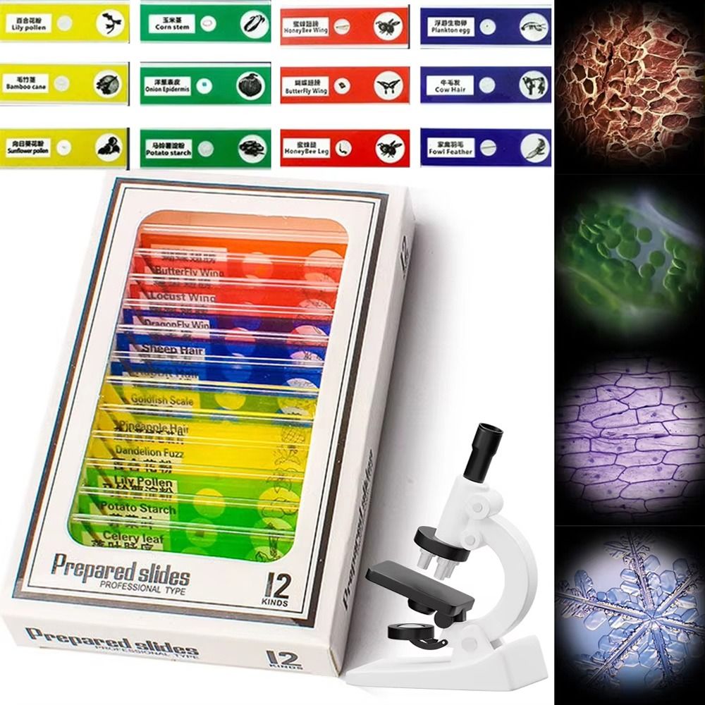 1Pcs 60-120X Pocket Microscope - đánh giá và giá Outdoor Lighting Kits