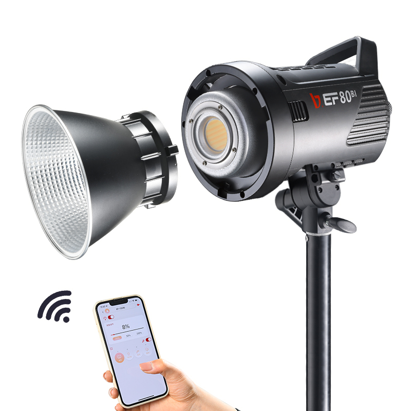 JINBEI EF-80Bi Handheld LED Vi - đánh giá và giá Outdoor Lighting Kits