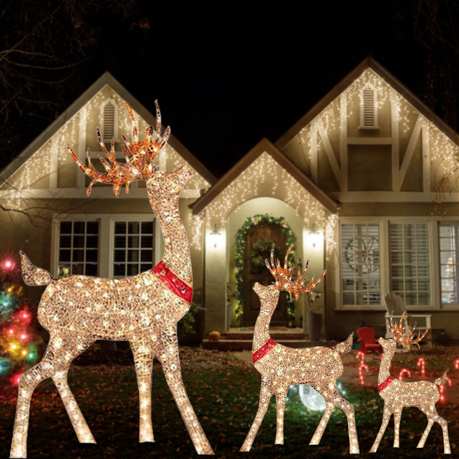 Lighted Christmas Decoration D - đánh giá và giá Outdoor Lighting Event