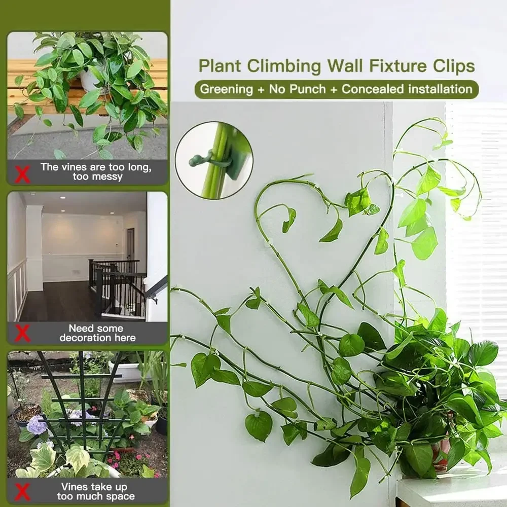 1/30/50Pcs For Garden Accsesor - đánh giá và giá Outdoor Lighting With Outlet